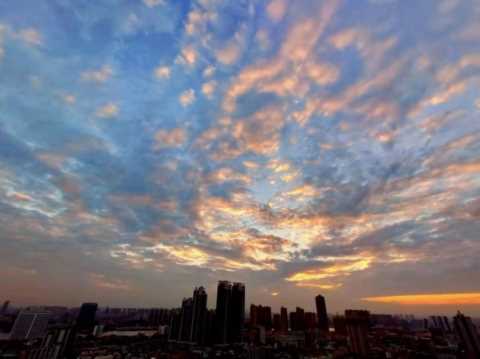 司徒正襟：各家自媒体平台的流量效果和算法推送机制简测