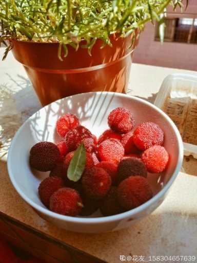 100种水果名字(100种水果名字和图片)