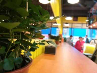 熟食店都需要办什么证(开熟食店需要办理什么证)