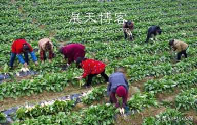 最赚钱的养殖业(现在什么养殖业好挣钱)