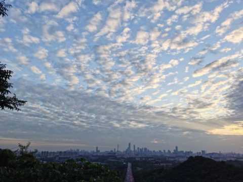司徒正襟：各家自媒体平台的流量效果和算法推送机制简测