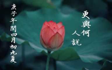 悼念完颜厌世(完颜厌世后来怎样了)