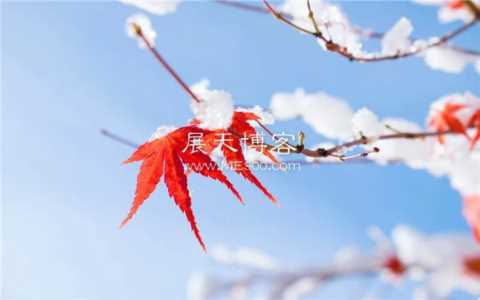 冷门小生意，现在市场上还有哪些？这几个都是普通人能做的