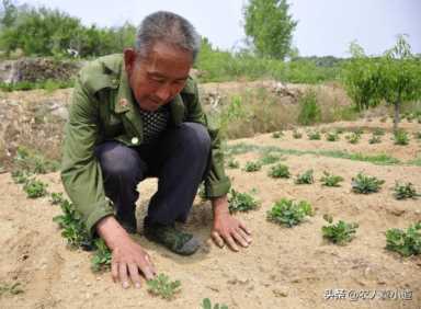 怎样寻找正规在家做的手工活(在家就能做的手工项目)插图5 怎样寻找正规在家做的手工活(在家就能做的手工项目)
