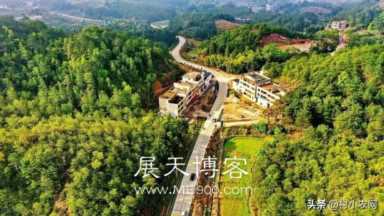 最赚钱的养殖业(现在什么养殖业好挣钱)