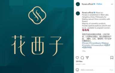 花西子新媒体营销定位（花西子品牌营销策划案）