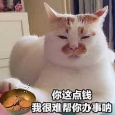 网站如何赚钱(做一个网站如何赚钱)