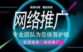 轻饮食网络推广方案（常见的网络营销与推广的方式）