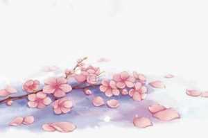 女生兼职副业推荐(女生兼职干什么好)