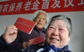 老人报团农村养老（农村老年人养老金政策）