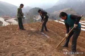 投资小利润高的小生意（农村冷门致富创业项目）