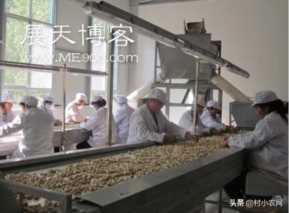 最赚钱的养殖业(现在什么养殖业好挣钱)