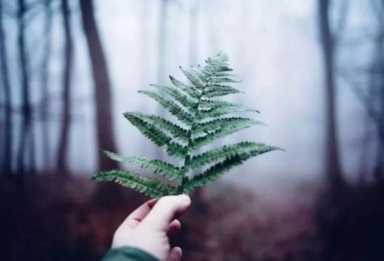 世淡言凉是什么意思（冷言冷语冷人心的句子）