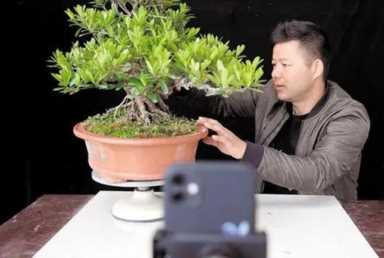 手工活加工怎样挣钱（在家里挣钱的12种方法）