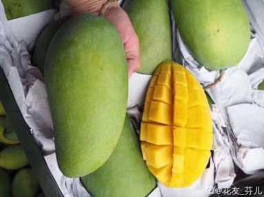 100种水果名字(100种水果名字和图片)