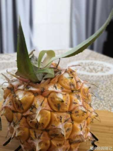 100种水果名字(100种水果名字和图片)