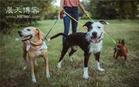 冷门小生意，现在市场上还有哪些？这几个都是普通人能做的