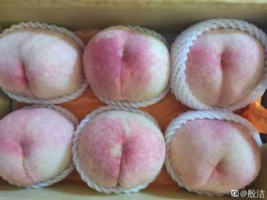 100种水果名字(100种水果名字和图片)