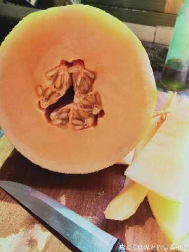 100种水果名字(100种水果名字和图片)