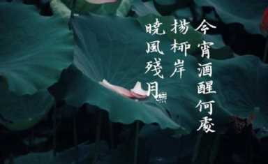 悼念完颜厌世(完颜厌世后来怎样了)