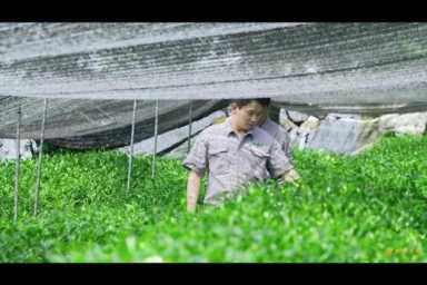 展会营销推广方案（展会宣传推广方案怎么写）