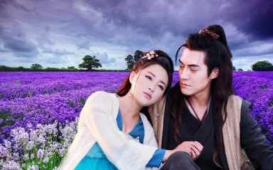 孔雀翎青龙主人是谁解析(孔雀翎青龙主人是谁-)