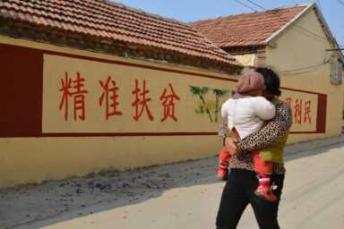 目前室内最赚钱的种植(农村什么种植业最挣钱)插图1 目前室内最赚钱的种植(农村什么种植业最挣钱)