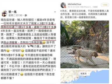 图朵吕晶晶个人简历（吕晶晶个人简历）