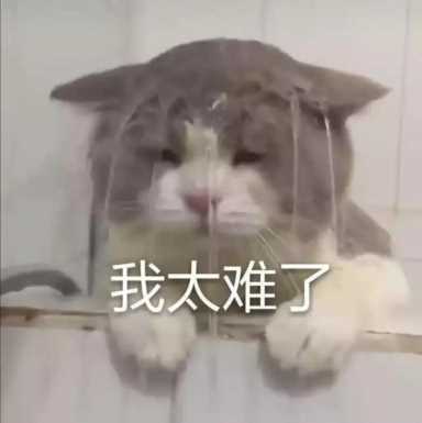拼多多领现金是真的吗(拼多多领现金是真的吗有风险吗)