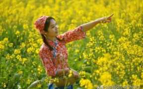 去南方哪里打工最赚钱(去南方干什么挣钱呢)