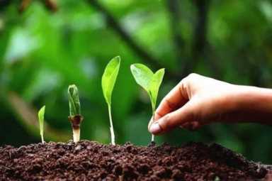 办个小型有机肥加工厂需投资多少（化肥销售技巧和话术）