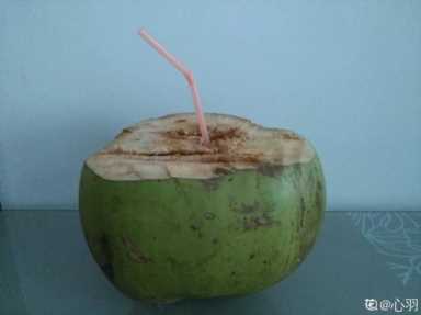 100种水果名字(100种水果名字和图片)