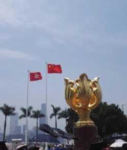 香港旺角哪里最好逛(香港旺角属于什么区)插图17 香港哪里最好玩?