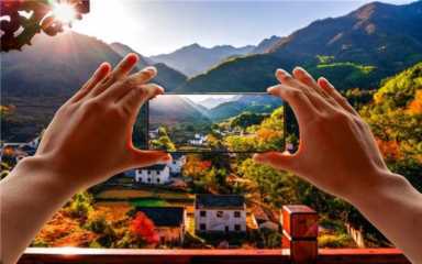 目前有哪个好项目致富（寻求农村致富项目）