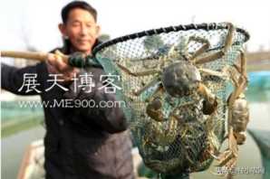 最赚钱的养殖业(现在什么养殖业好挣钱)