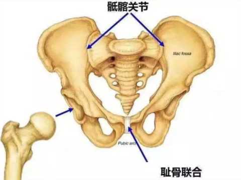 怀孕后骨头疼得走不了路，要重视，可能患上了“趾骨联合分离”