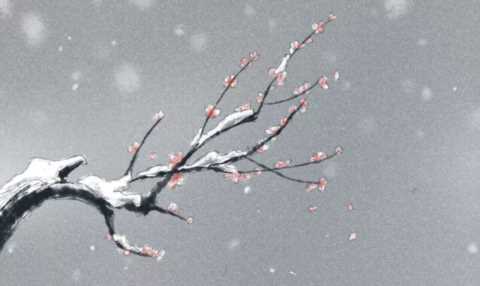 这位唐代诗人太冷门，写了一首梅花诗却流传千古，三四句最经典