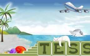 飞机升舱一般收多少钱国际,国内飞机升舱一般收多少钱