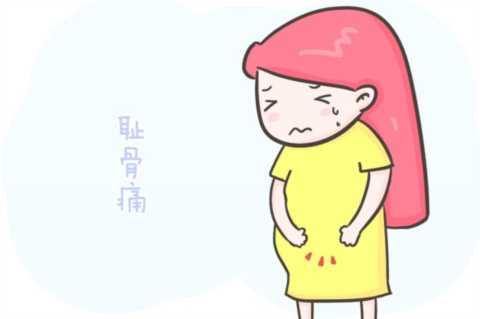 很多准妈妈都备受“耻骨痛”的折磨，却没有多少有人真正去了解它