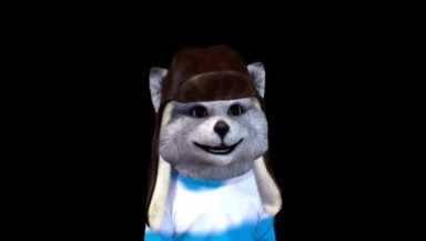 浣熊君也要退网！百万粉丝特地寻找原因，得知真相表示同情和理解