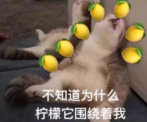 人类四大本质之“柠檬精”