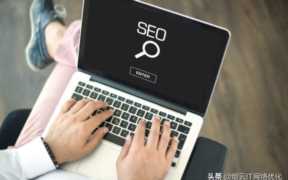 SEO技术蜘蛛屯关键词整站优化（seo技术蜘蛛屯网站优化）