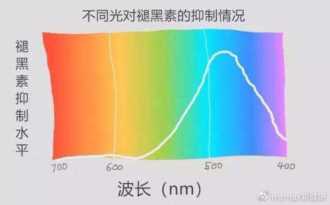 辟谣：你嗑的那些保健品真的可以续命么？不花钱的建议给你啊