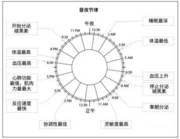 辟谣：你嗑的那些保健品真的可以续命么？不花钱的建议给你啊