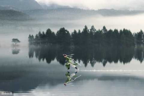 《龙王殿》丹药之力配合天地灵气的修炼奇才