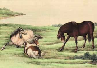 这个时辰出生的属马人最好命，入仕途能做大官，经商会财源滚滚