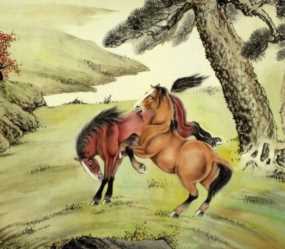 这个时辰出生的属马人最好命，入仕途能做大官，经商会财源滚滚