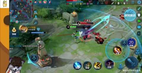 浣熊君也要退网！百万粉丝特地寻找原因，得知真相表示同情和理解