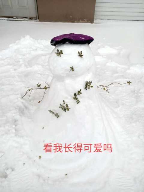 今天我们来谈谈菜鸟驿站怎样加盟