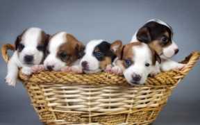 摩羯男嫉妒心占有欲强（嫉妒心最强的星座排名）